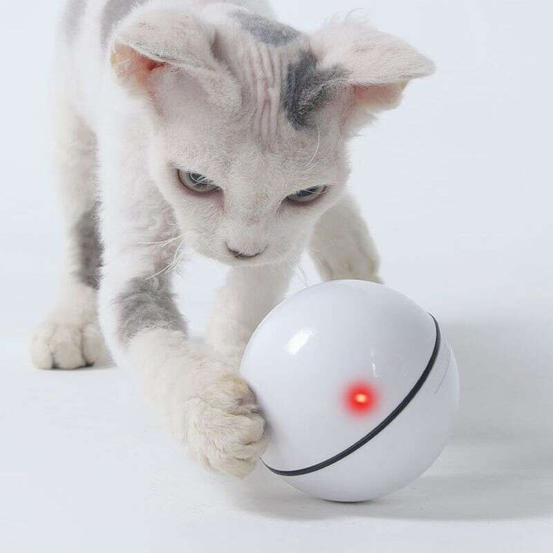 famous brand Guangying Electric USB Charging Cat Interactive Ball Toy With Rolling LED Light Pet Supply
