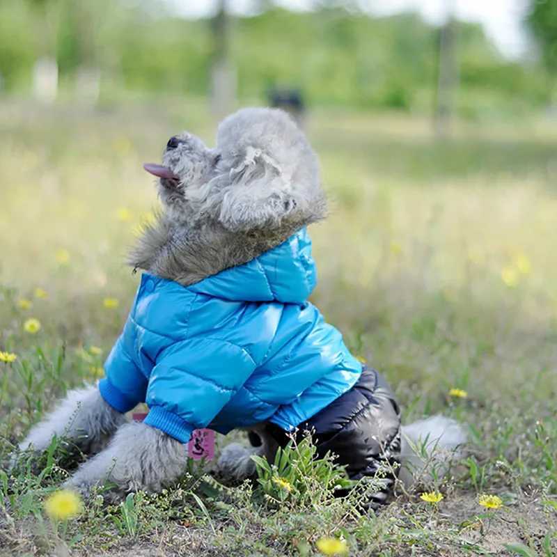 Winter Dog Clothes For Small Dogs Waterproof Soft Fur Hoodies Puppy et Thicken Warm Puppy Pet Chihuahua Yorkie Pets Clothing W250904