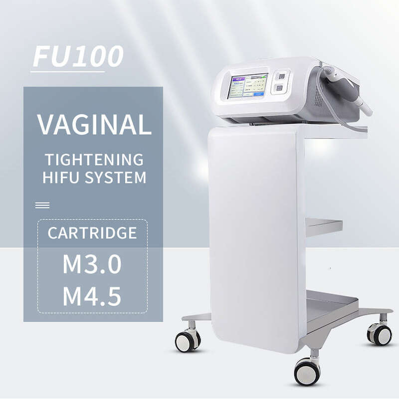 HIFU Vaginal Tightening Rejuvenation Machine Ultrasound Therapy 2 Cartridges 3.0Mm 4.5Mm Vagina Skin Lift System Women Beauty Care Equipment