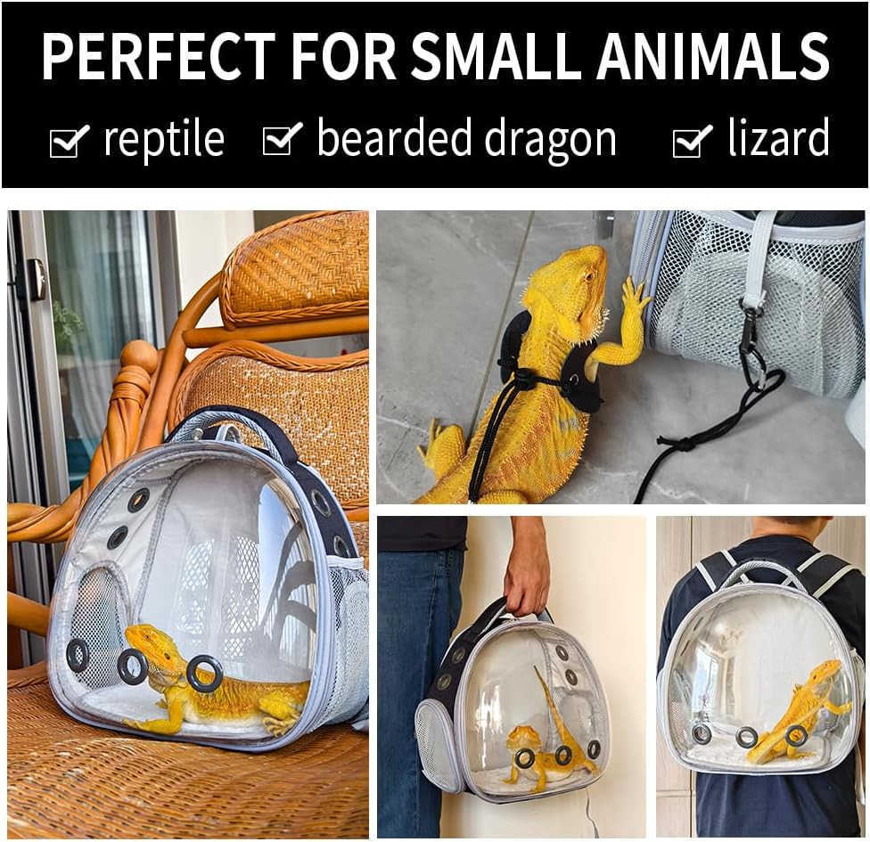 Backpack Carrier with Harness and Leash Set Small Animal Carrier Backpack Space Capsule Bubble Window Small Pet Carrier Backpack Airline ApprW250904