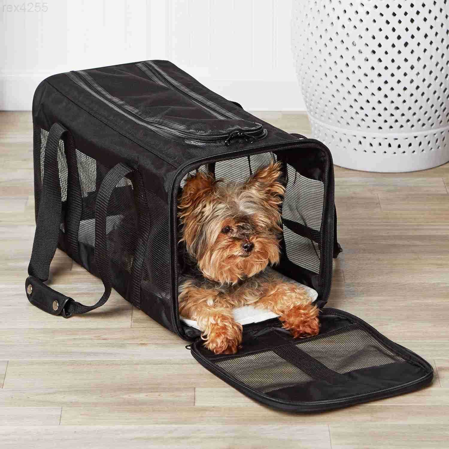 Mesh Pet Travel Carrier for Dog Cat up to 16 pounds 165 L x 106 W x 11 H BlackW250904