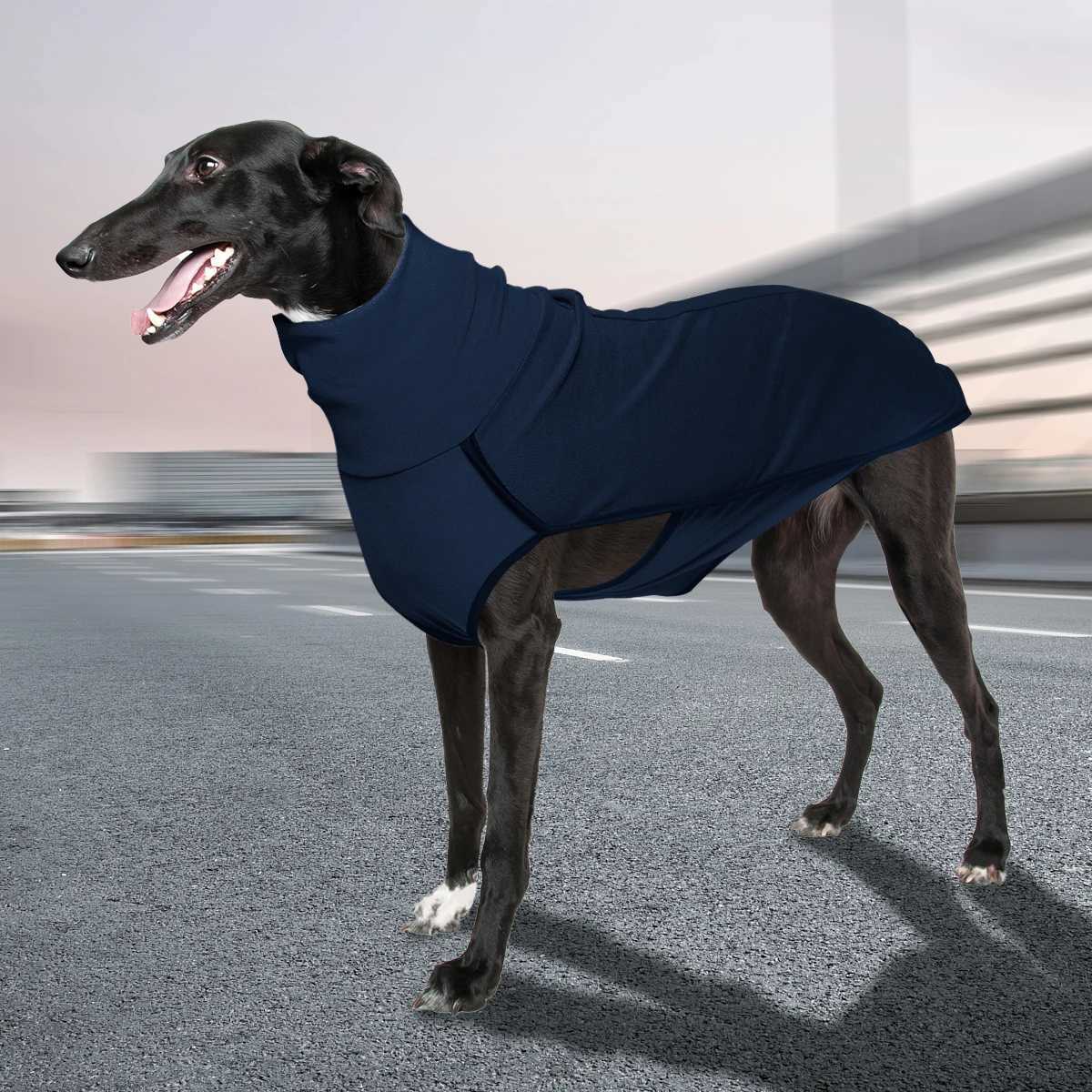 Novelty Dog High Collar Clothes Soft and Comfortable W250904