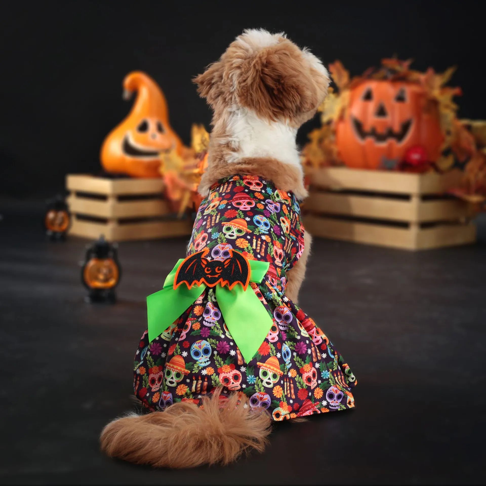 2025 new 2 Pcs Dog Sets Pumpkin Ghost Skeleton Costumes for Dogs Funny Halloween Puppy Dress