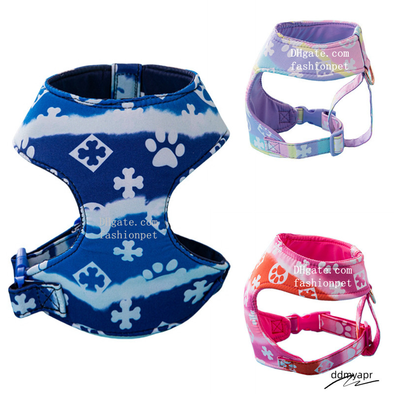 Bone Paw Print Pattern Gradient Color Harness, Pull Harness For Small Dogs, Ddmyday Soft Adjustable Step In No Choke Dog Harnesses And Leash Set, Blue