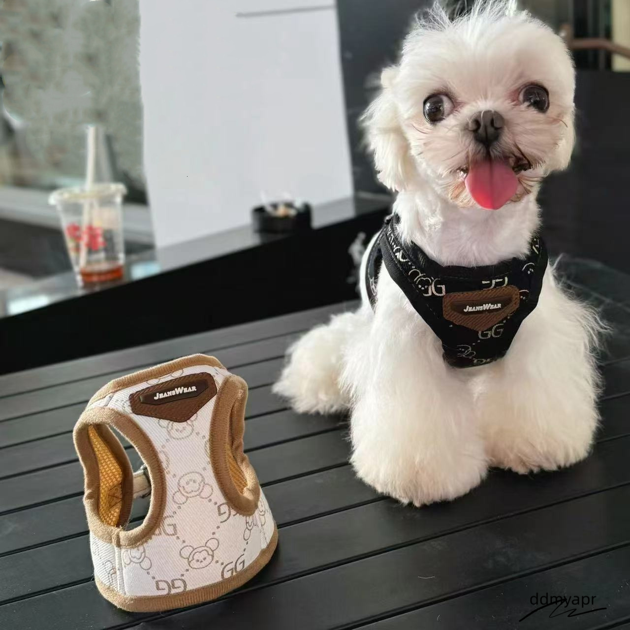 Harness With Leash Ddmyday Set, Escape No Pull Easy Walk Puppy Harnesses, Step-In Hot Stamping Pattern Soft Dogs Vest For Medium Small Sized Dog XS B1