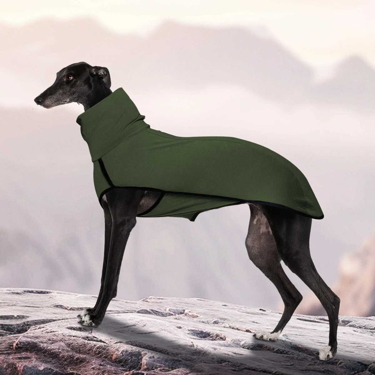 Novelty Dog High Collar Clothes Soft and Comfortable W250904