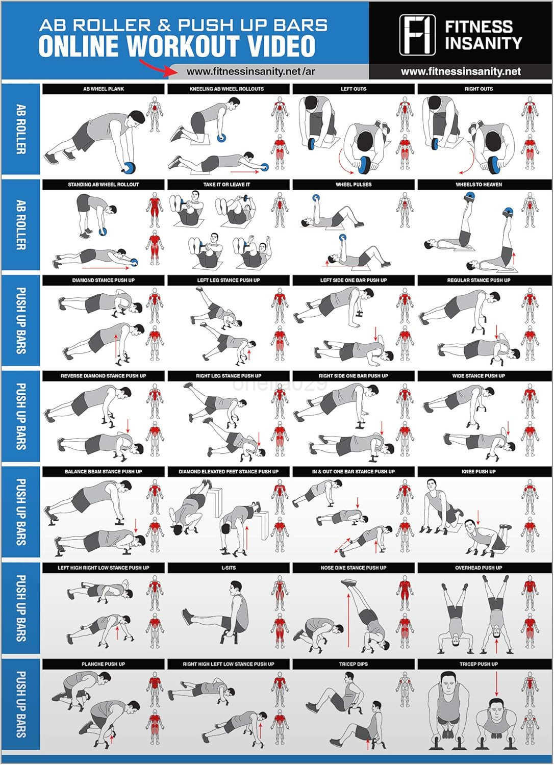 Ab Roller Wheel 6in1 Ab Roller Kit with Knee Mat PushUp Bars Resistance Bands Workout Poster Workout Guide Perfect Home Gym Equipment for Men Women Ab