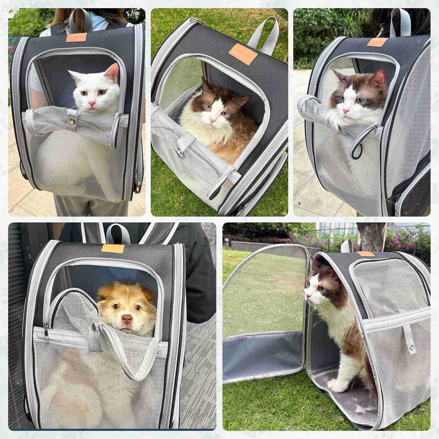 Cat Backpack Carrier Pet Backpack Carrier Cats and Small Dogs Collapsible Fully Ventilation Cat Backpack for Outdoors Hiking Camping Travelup to 165lb