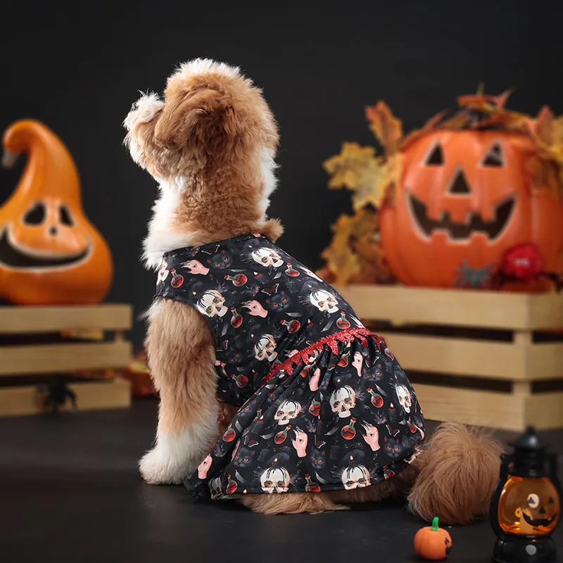 2025 new 2 Pcs Dog Sets Pumpkin Ghost Skeleton Costumes for Dogs Funny Halloween Puppy Dress