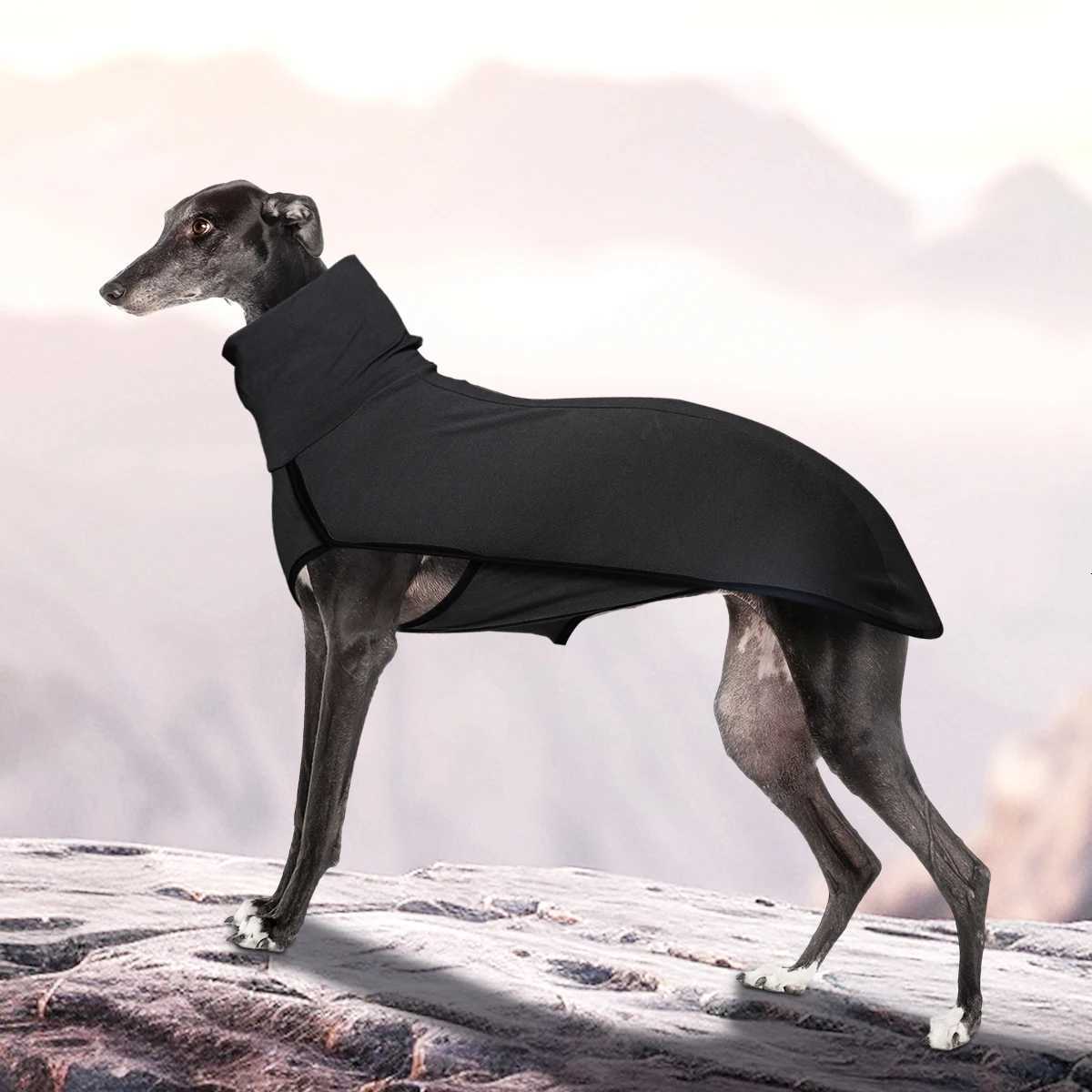 Novelty Dog High Collar Clothes Soft and Comfortable W250904