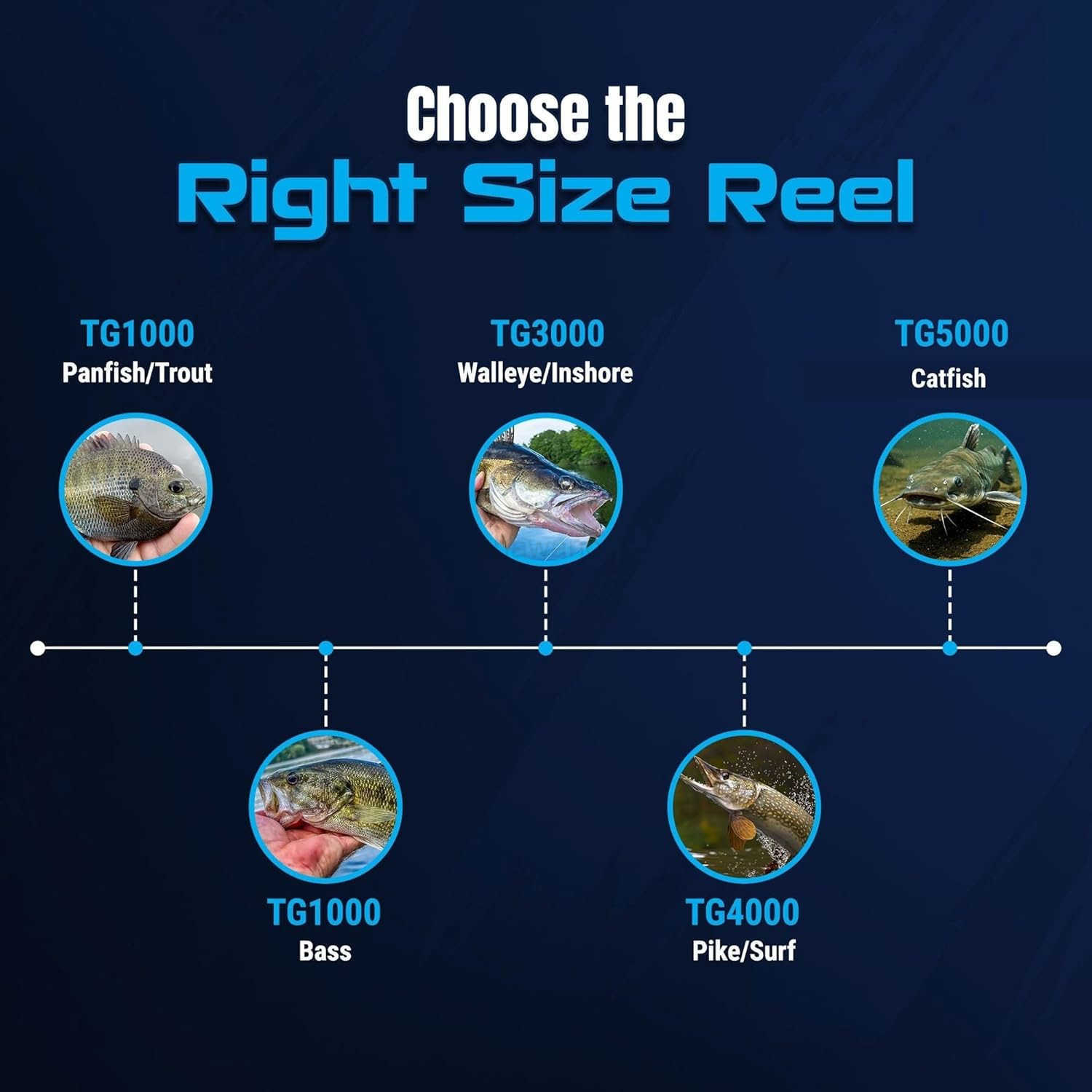 Reaction Tackle HighPerformance Fishing Reels Spinning Reel Series Lightweight Durable with Smooth Drag System W250904