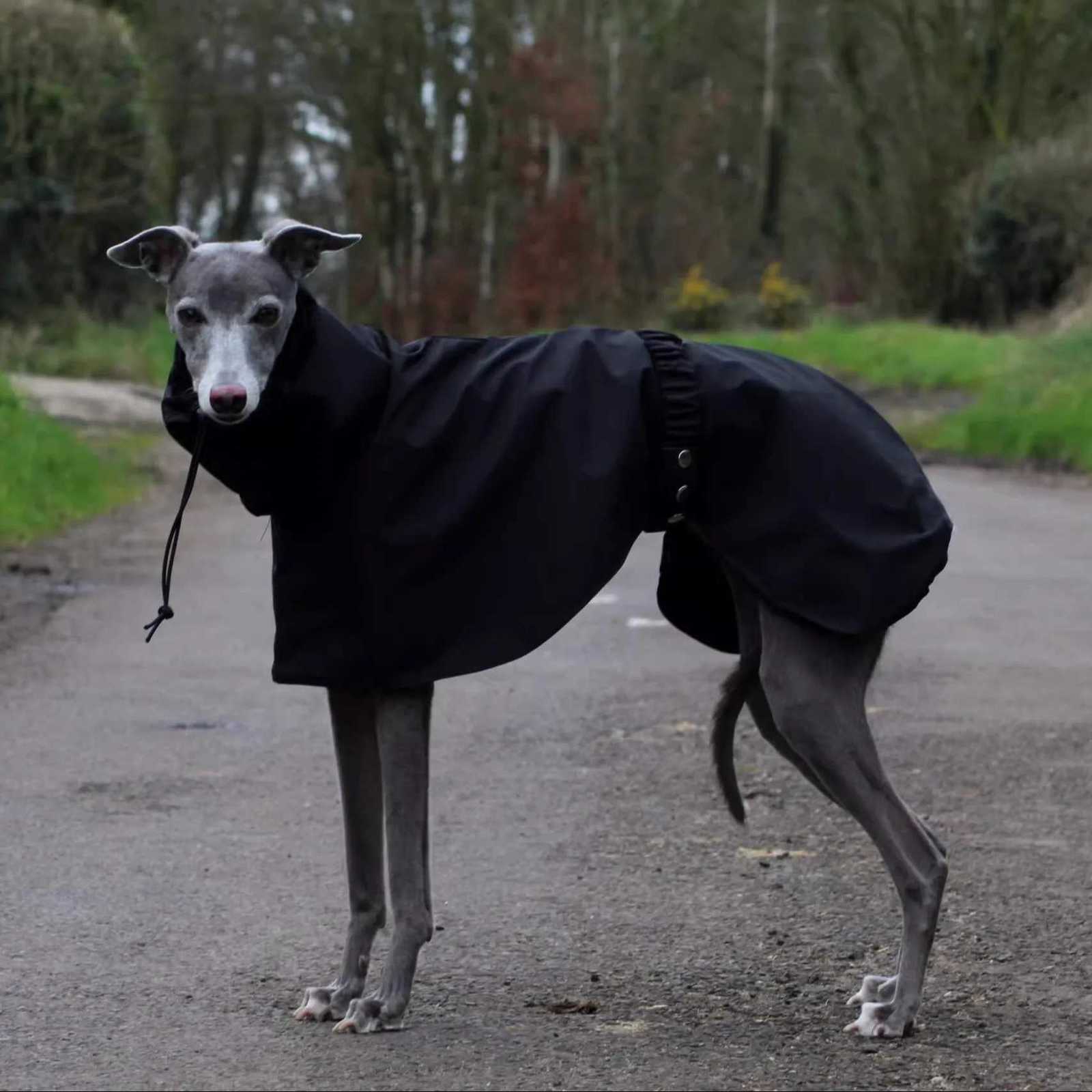 Fashion Adjustable Greyhound Whippet Raincoat Waterproof Windproof Berlington Terrier Soft Dog Vest et for Media Large Dogs W250904