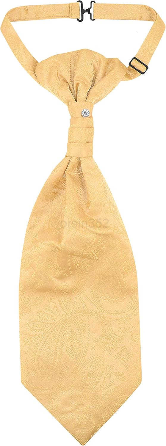 TiedSolid PAISLEY Color Cravat Mens Neck Tie 21 ColorsW250904