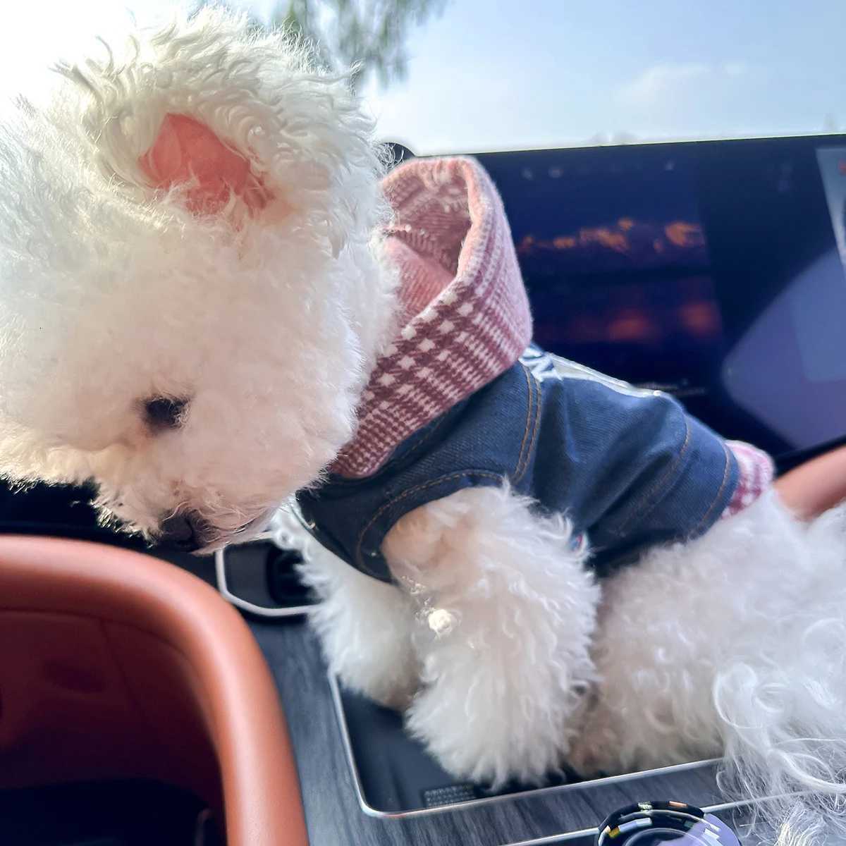 Pet Clothes Dog Cat Out Handsome Cute Comfortable New York 09 Coat W250904