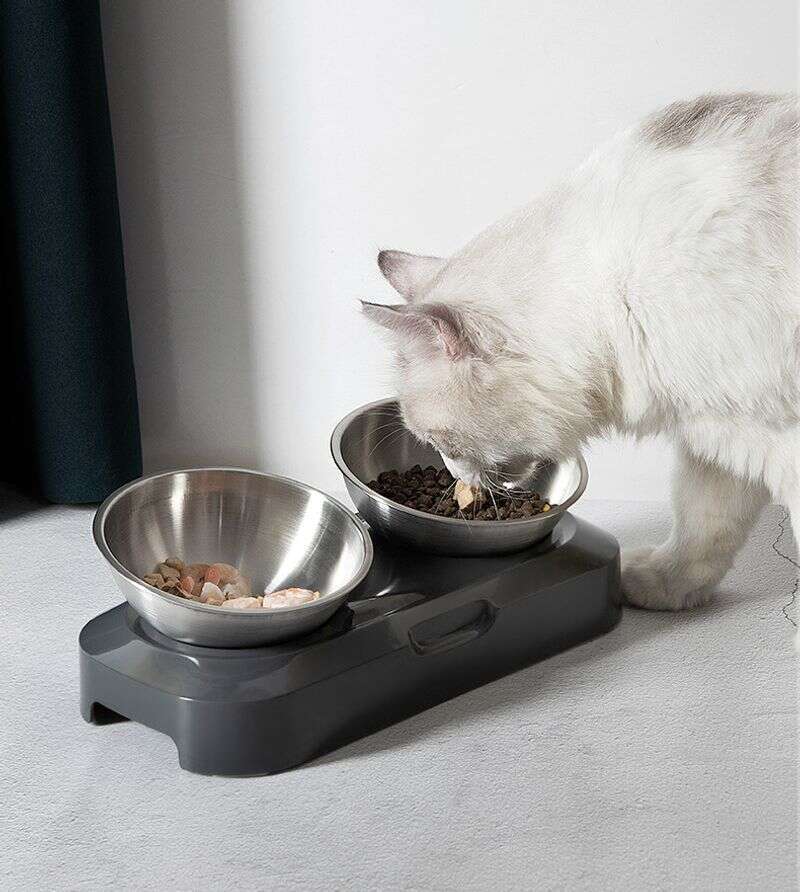 famous brand Pet Feeding Bowl Stainless Steel Non slip Feeder With Inclined Neck Cat And Protective