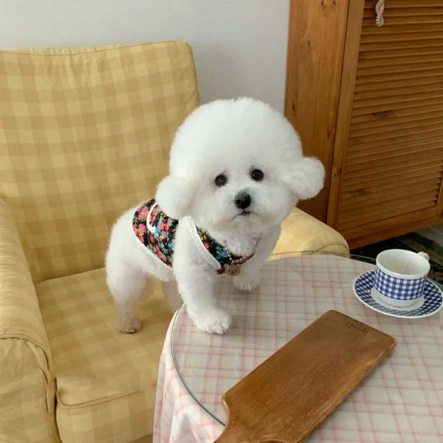 Pet Shredded Vest Winter Dog Apparel Small Dog Bichon Warm Vest Teddy Thin Velvet Open Button Cotton Coat Dog Products W250904