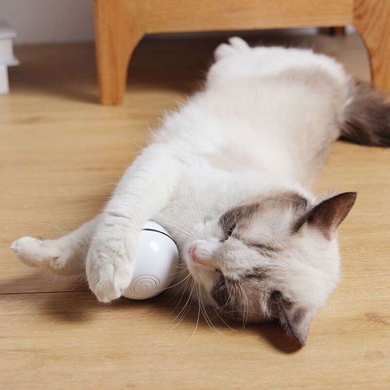 famous brand Guangying Electric USB Charging Cat Interactive Ball Toy With Rolling LED Light Pet Supply
