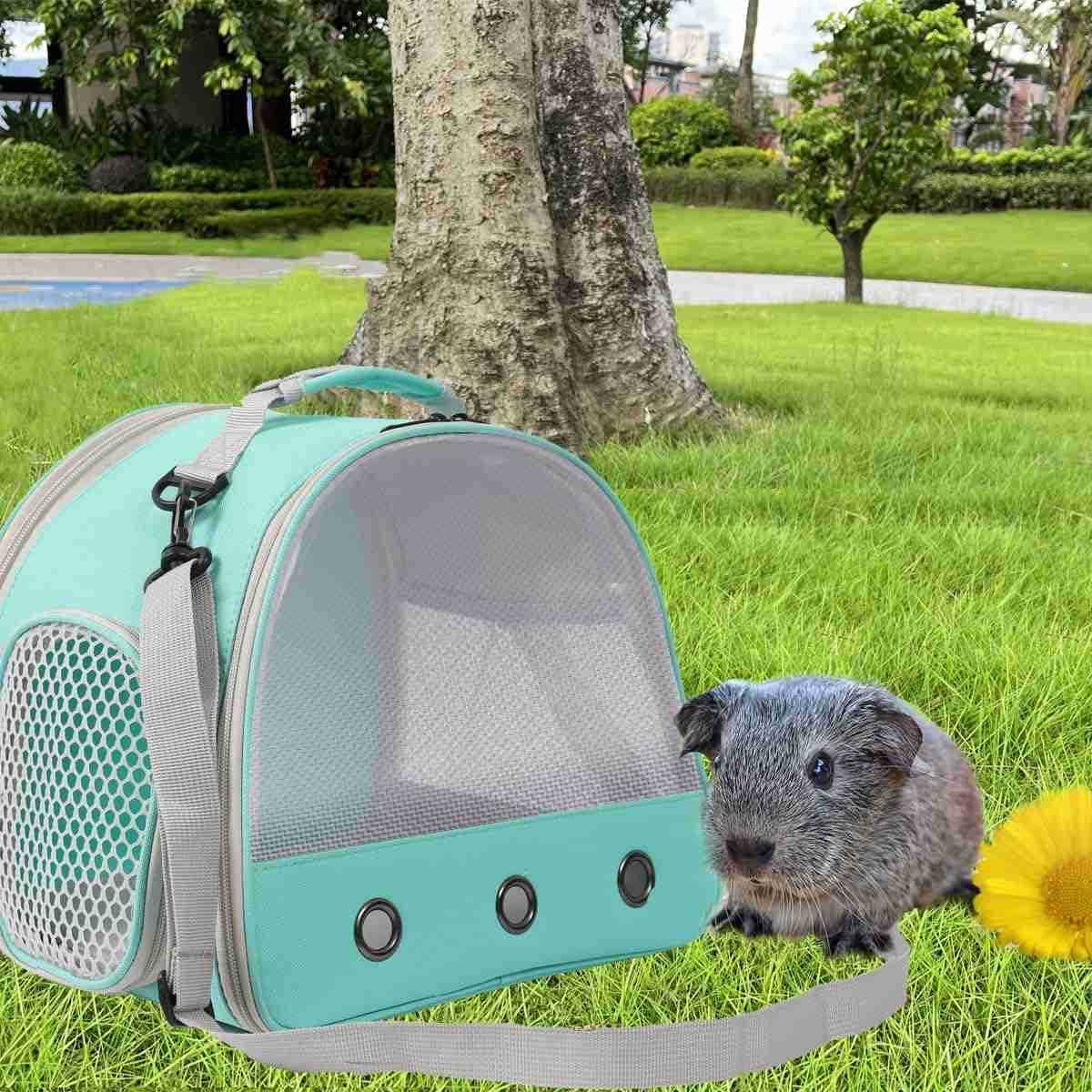 Travel CarrierLizards Carrier Small Animal Travel Carrier for Sugar Glider Hedgehog Rat Parrot Bird Guinea Pig Portable Guinea Pig Travel Bag for 2W25