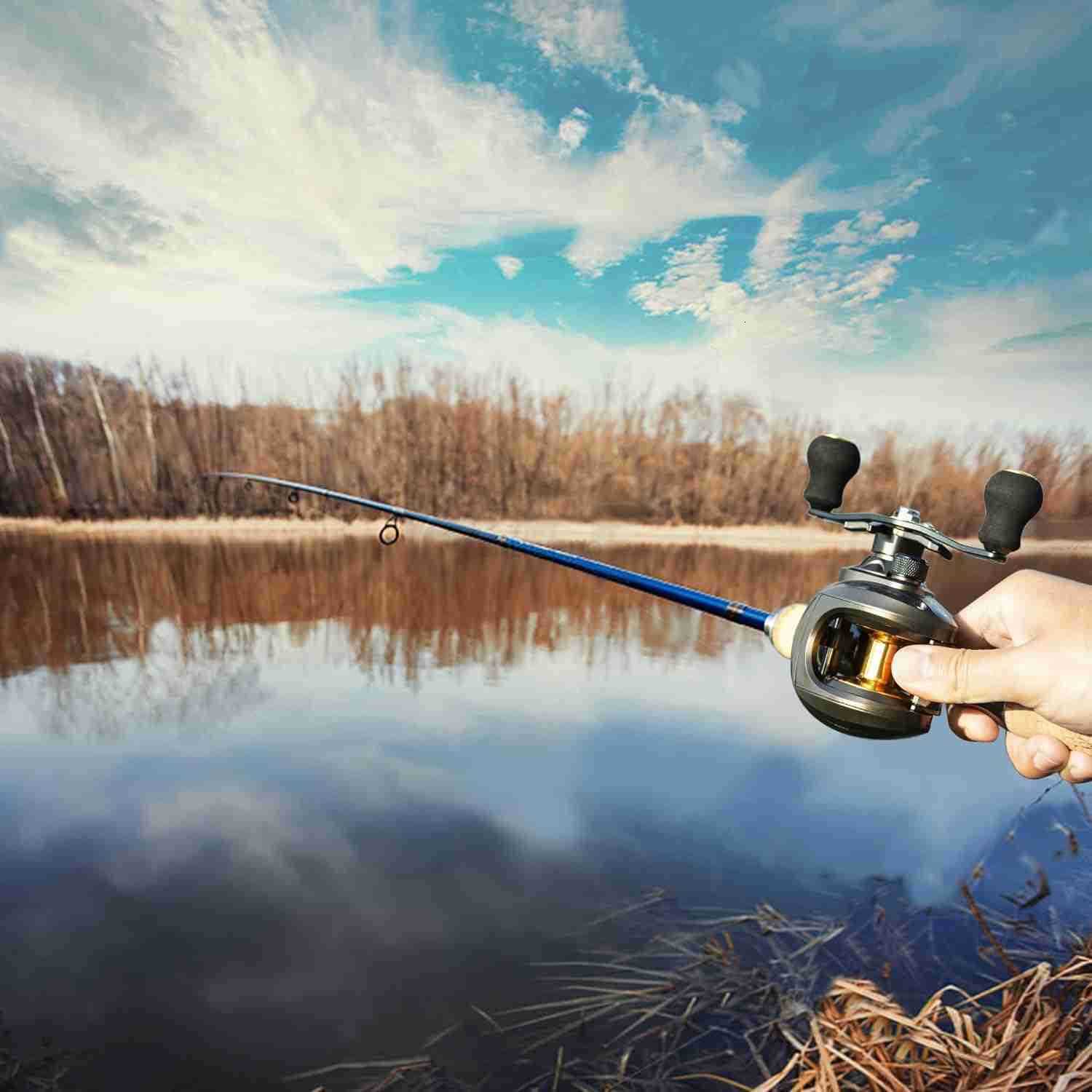 Baitcasting Reel Fishing Reel Magnet Braking System 176 LB Max Drag 721 and 631 Gear Ratio W250904