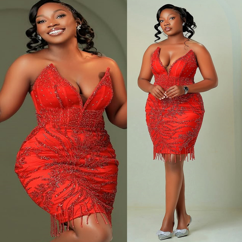 2025 Aso Ebi Red Cocktail Dresses For Women Homecoming Dress Sheath Illusion V Neck Appliqued Beaded Lace Sexy Pleated Prom Dresses For Black Girls C4