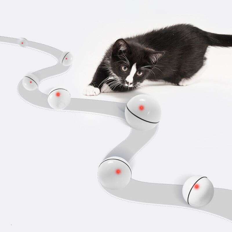 famous brand Guangying Electric USB Charging Cat Interactive Ball Toy With Rolling LED Light Pet Supply