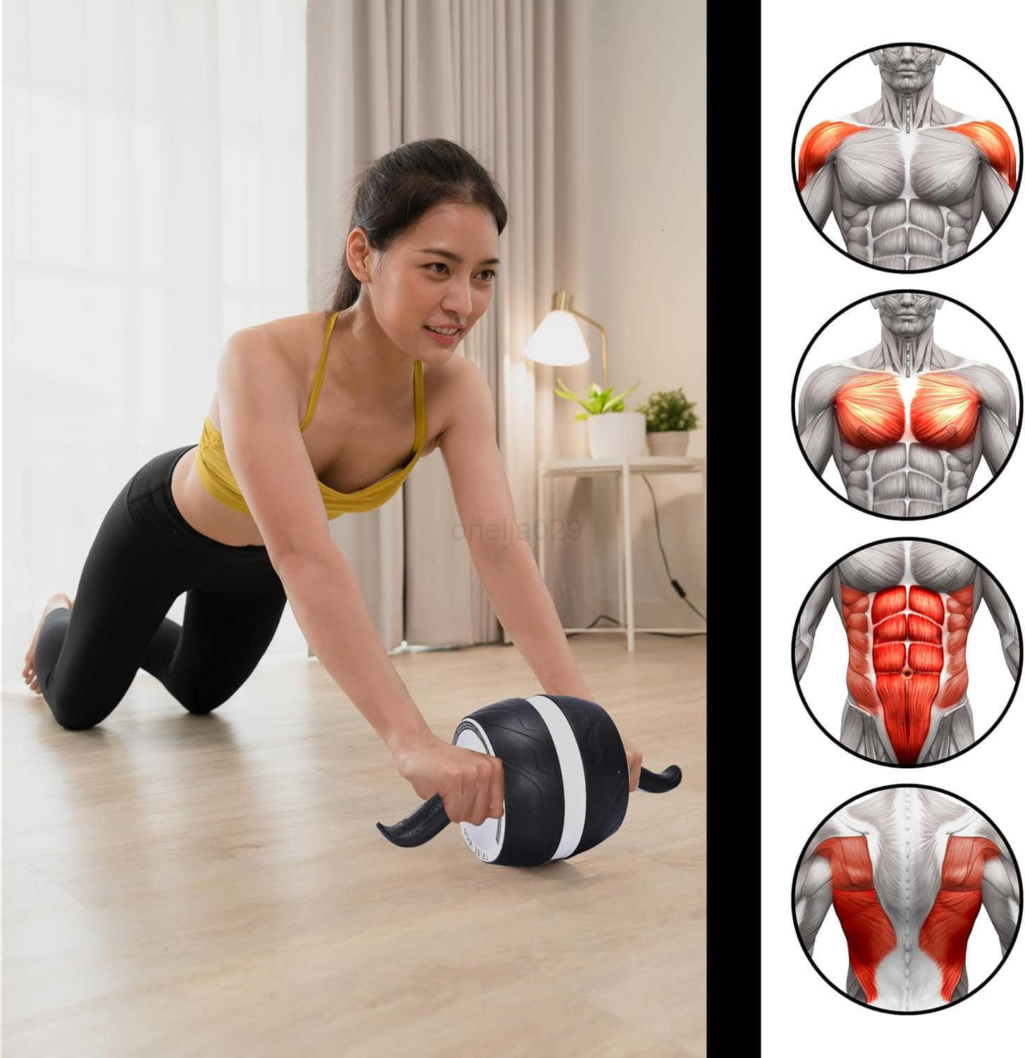 Ab Roller Wheel Ab Exercise Equipment Core Muscles and The Abdominal Training Workout Equipment Sculpts Abs Obliques Arms Back Nonslip Handles 78 x 15