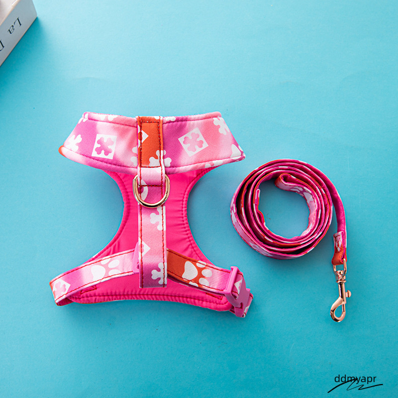 Bone Paw Print Pattern Gradient Color Harness, Pull Harness For Small Dogs, Ddmyday Soft Adjustable Step In No Choke Dog Harnesses And Leash Set, Blue