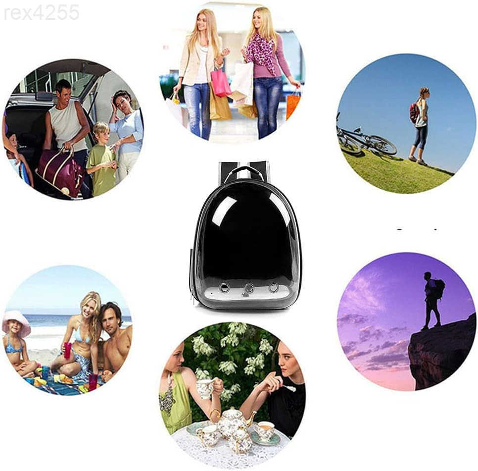 Animal Carrier BackpacksTransparent Space Capsule Bubble Pet Backpack Bag for Small Dogs Cats Airline Approved Travel CarrierW250904