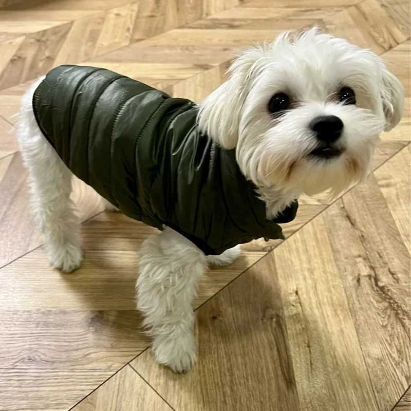 Pet Warm Winter Clothes Puppy Soft et Dog Vest for Small Dogs Kitten Coat Chihuahua French Bulldog Outfits Yorkie Costumes W250904