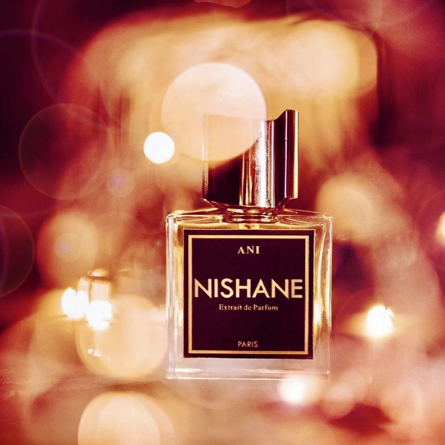 Perfume 100ml Nishane ANI Perfume Fragrance Man Women Extrait De Parfum Long Lasting Smell Brand Unisex Neutral Cologne Spray