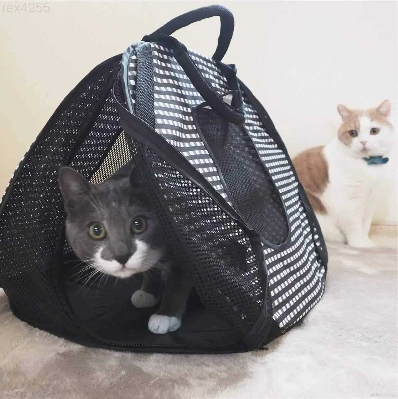 Cat Travel Carrier Collapsible Gray White for 2 Cats for Indoor Cats Small Medium Large CatsBlackW250904
