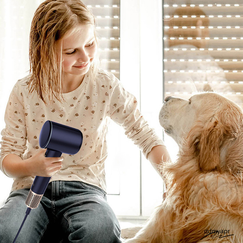 2025 Bosidin Dryers Care Electric Hair Drier Quickdry Safety Egative Ionic Ddmyday Professional Salon Blow Powerful Travel Home Free Shipping Blue Col