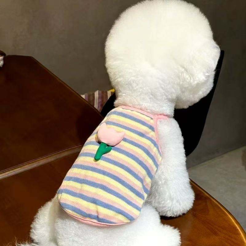 T1126 Quilted belly coat for female dogs, special dog clothes for autumn and winter, Teddy Bichon, small dog, puppy, French bulldog, pet autumn