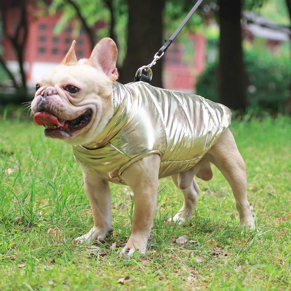 Pet Dog Clothes Winter Waterproof Dog et Coat Windproof Puppy Costumees Cat Vest With Rring French Bulldog Teddy Costumes W250904