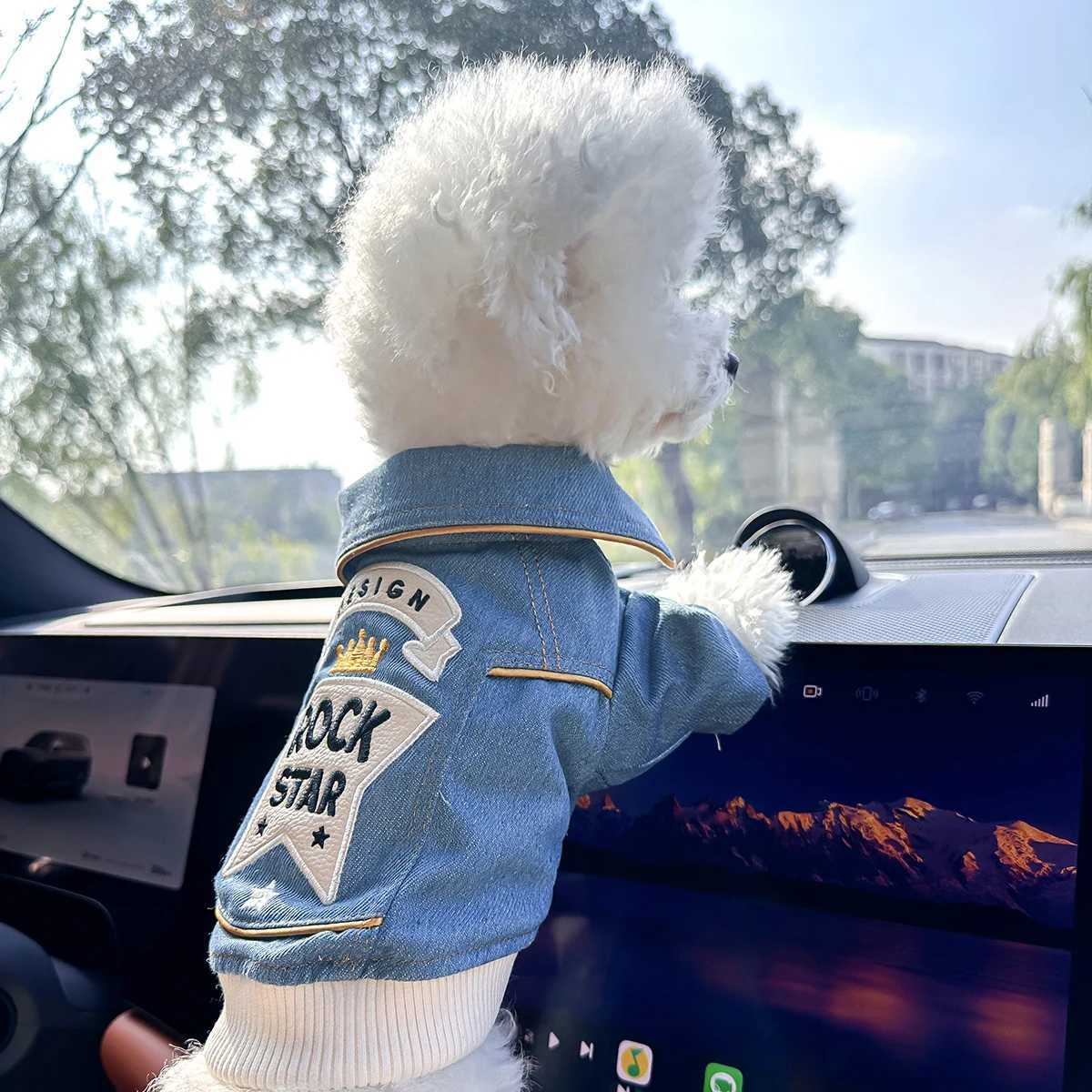 Rock Embroidery Blue et Pet Clothes Dog Cat Spring Handsome Out Traction Clothes W250904