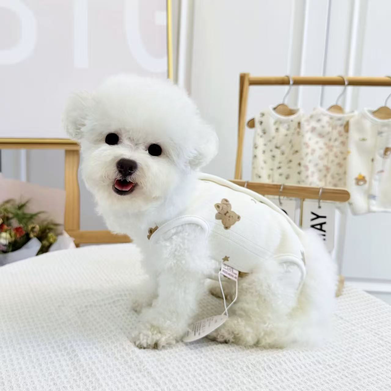 T1127 Plush raincoat four-legged clothes splash-proof dog clothes autumn and winter clothes for going out Teddy Bichon Pomeranian small dog pet