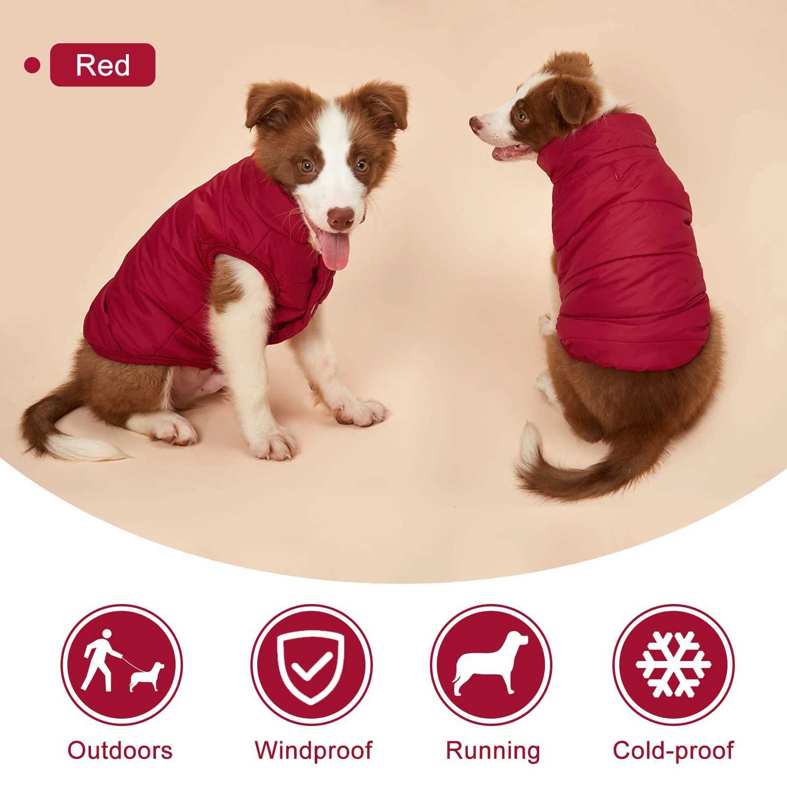 Winter Dog Clothes Outdoor Cold Proof Warm Dog et with Fleece Cotton Lining Chihuahua French Bulldog Puppy Clothing Coat W250904