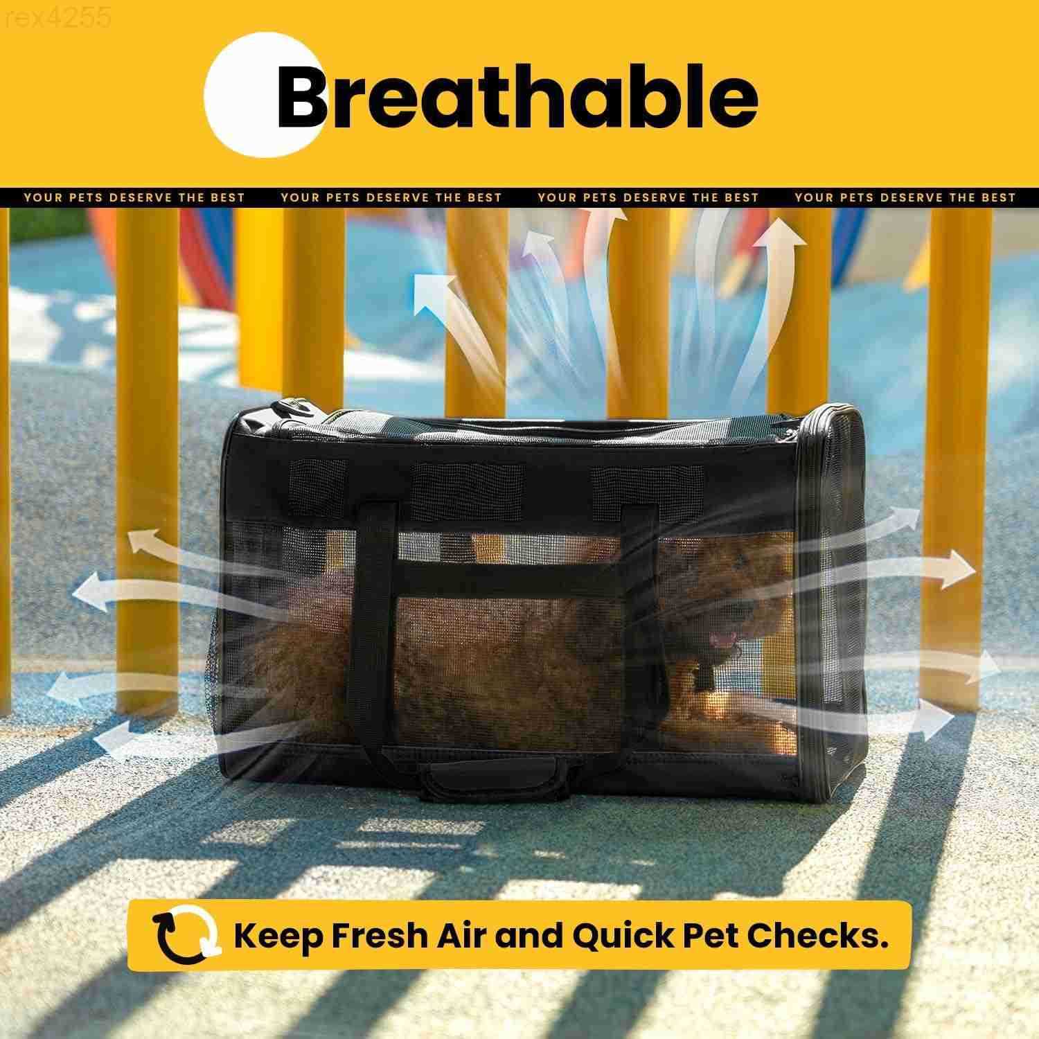 Cat Carrier BagSoftSided Pet Carriers for Dogs with 4Sided MeshAirline Approved Cat Transport Carrier for SmallMedium Cats Kitten Puppy Up to 15LbColl