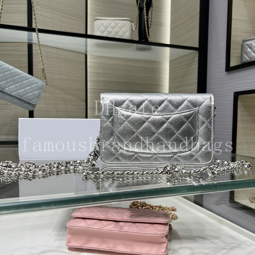 Wallet On Chain 19.5CM Mirror quality Women Chain Bag Lambskin Crossbody Bag With Box C164