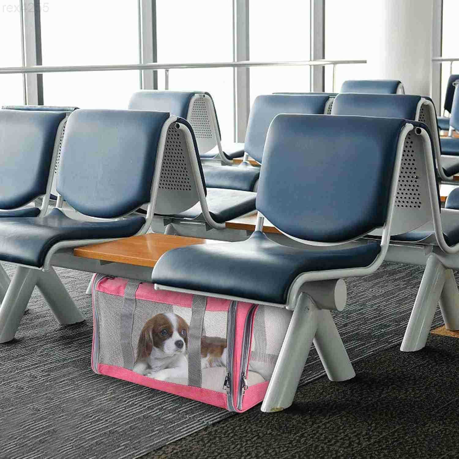 Cat Dog Carrier for Small Medium Cats Pet Carrier for Large and Medium Cats Puppies Portable Cat Carrier Soft Pet Carrier for Cats Cat Bag Carrier Air