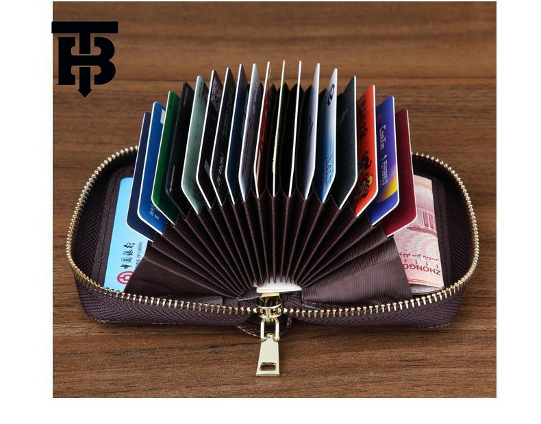 TB BHULAMTE Card Holder for Men Designer s bag and Women, Anti-Demagnetization Driver's License Document Wallet, Anti-Theft Large Capacity Bank C