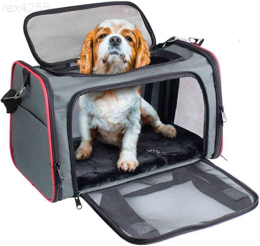 Pet Carrier for Small Dogs Cats Puppy Airline Approved Cat Carriers Dog Carrier Collapsible Travel Handbag Car Seat Large 19 x 11 x 11 Floral Print Bl