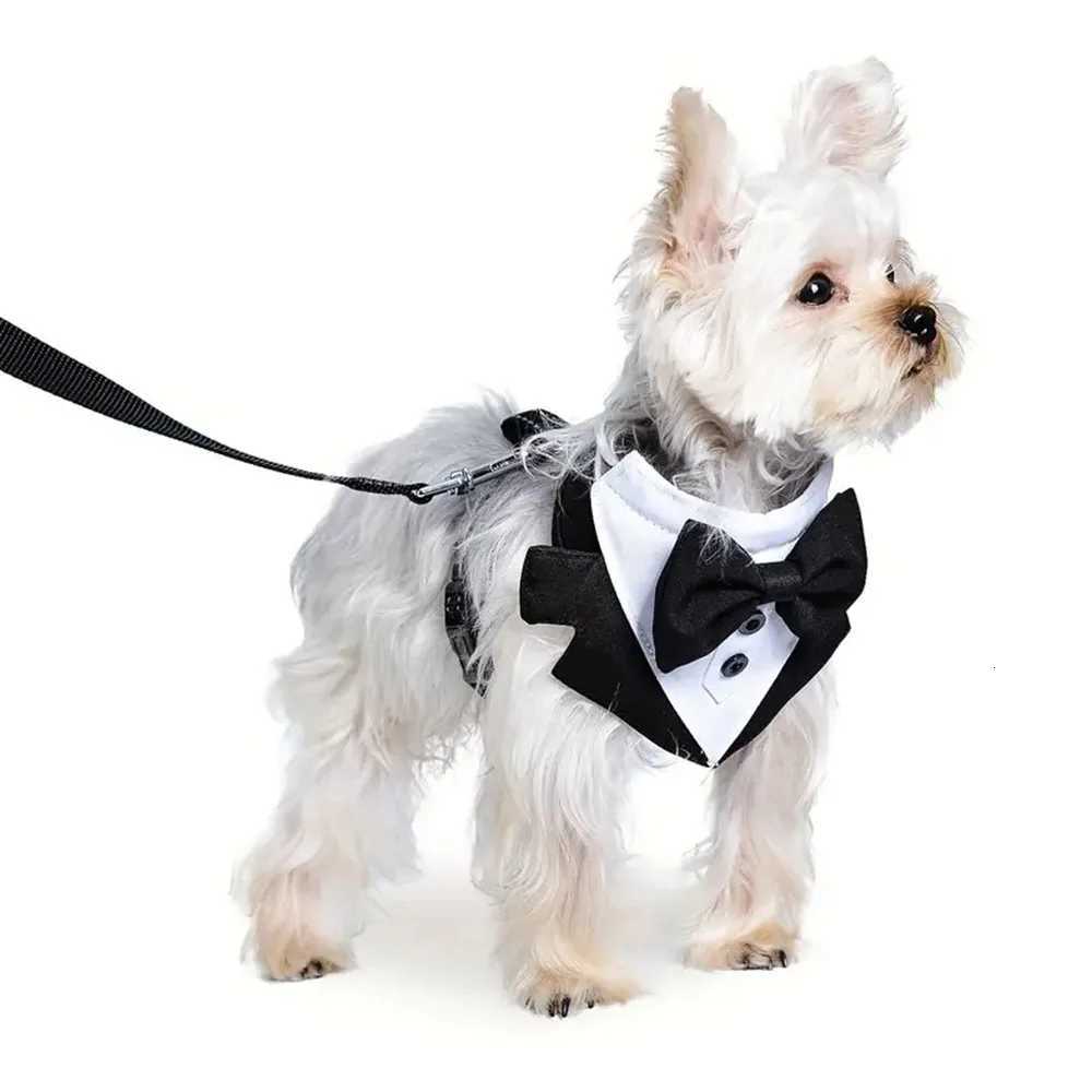 Dog Tuxedo Costume Formal Shirt Dog Wedding Black et Suit Pet Puppy Prince Ceremony Bow Tie Suit Small Dogs Cat Vest Clothes W250904