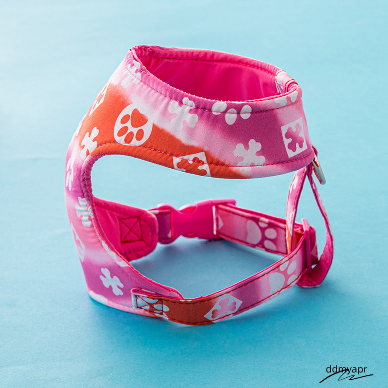 Bone Paw Print Pattern Gradient Color Harness, Pull Harness For Small Dogs, Ddmyday Soft Adjustable Step In No Choke Dog Harnesses And Leash Set, Blue