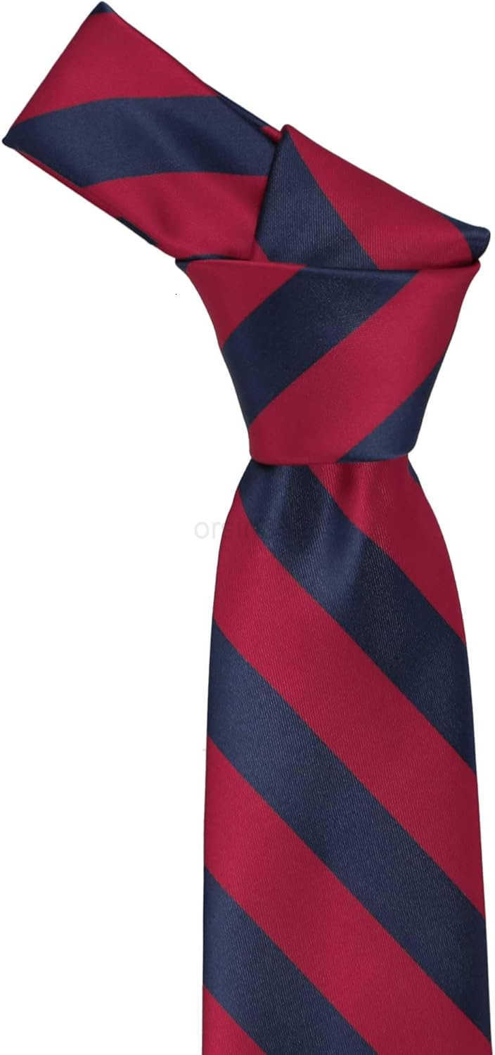 Mens Striped Tie Standard LengthW250904