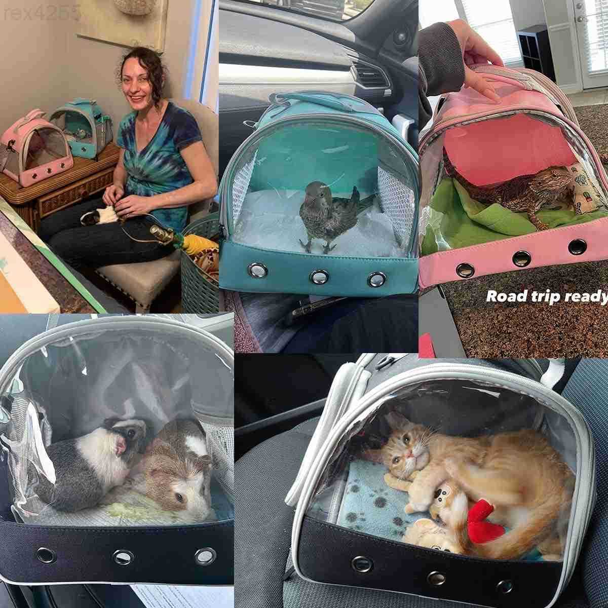 Pig Carrier Backpack Clear Bubble Window Backpack for Guinea Pig Bunny Rat Bird Black CarrierW250904