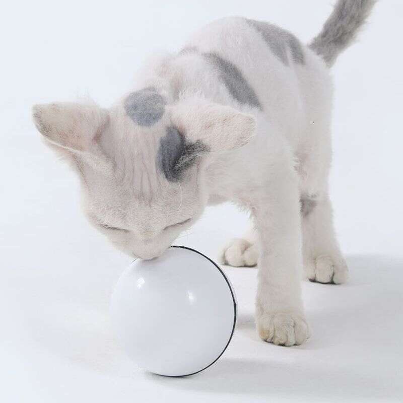 famous brand Guangying Electric USB Charging Cat Interactive Ball Toy With Rolling LED Light Pet Supply