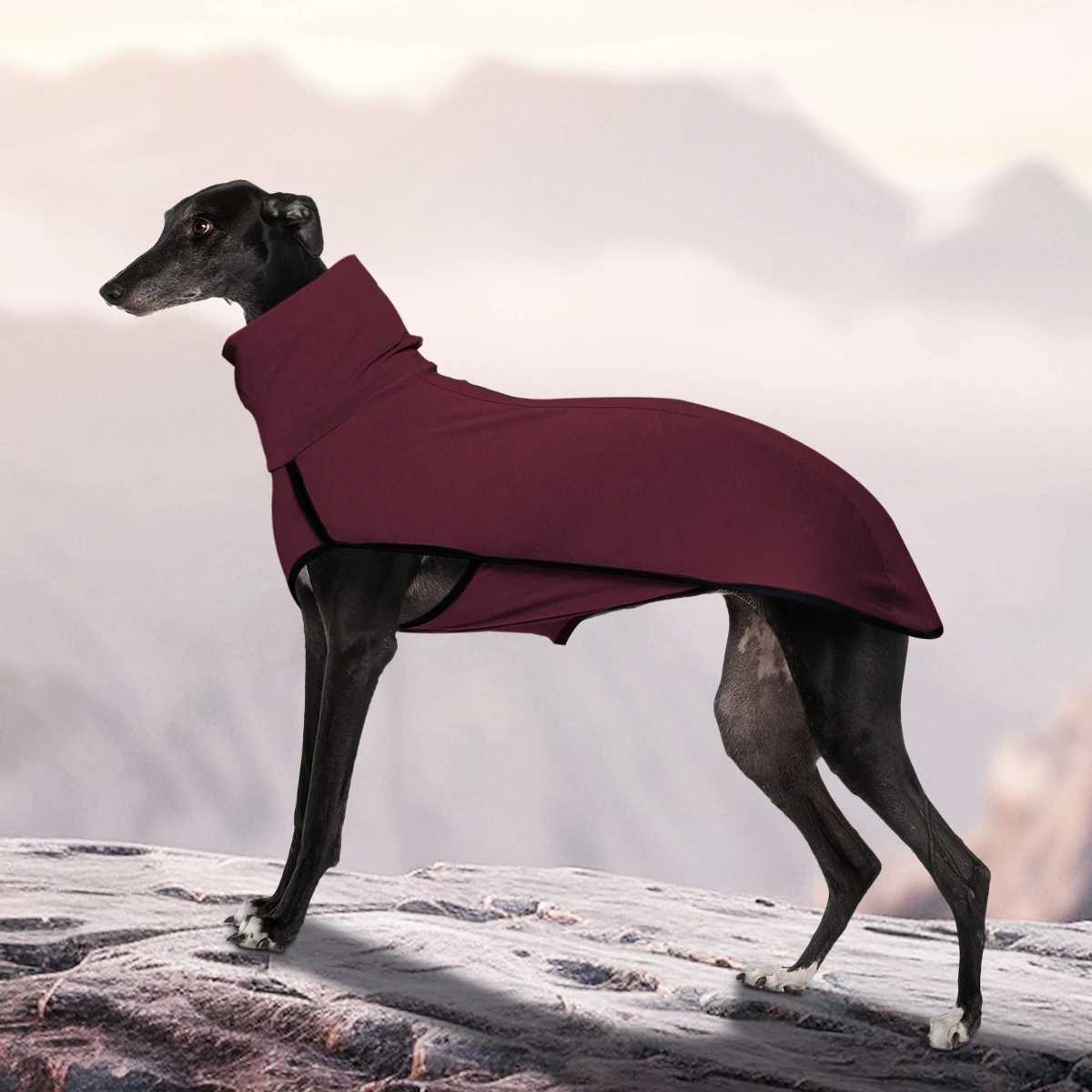 Novelty Dog High Collar Clothes Soft and Comfortable W250904