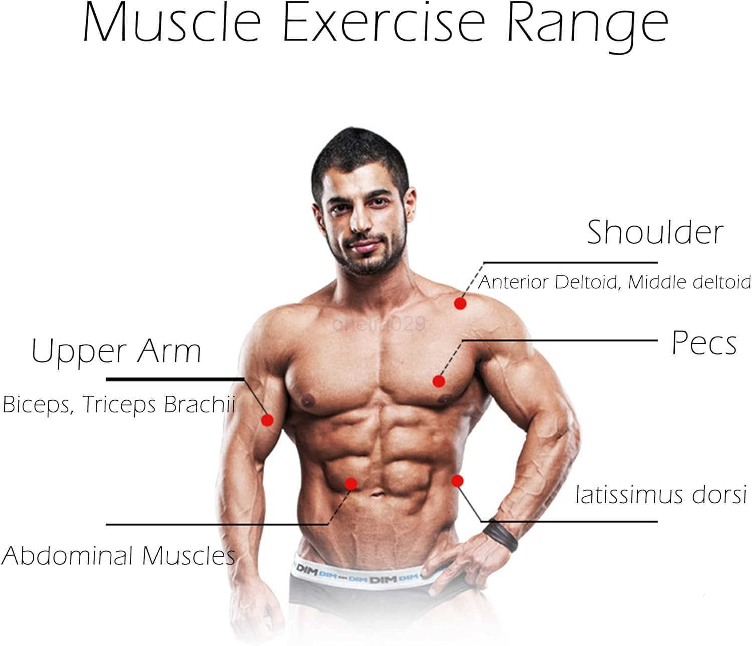 AB Wheel Roller Exercise Abdominal Wheel Fitness for Gym Home Workout StrengthTraining Equipment with Knee Pad W250904