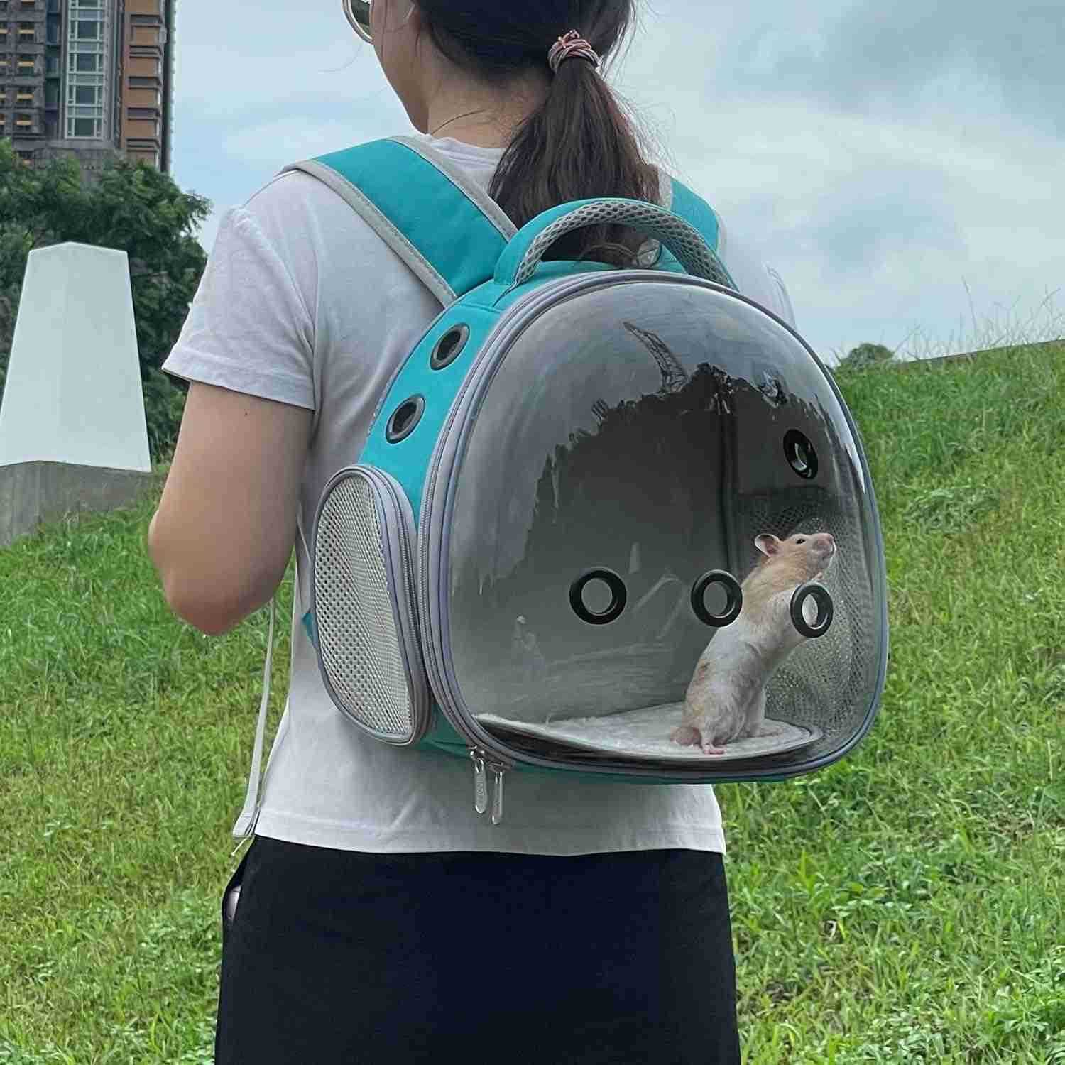 Travel pet Backpack Carrier Hamster Bag Guinea Pig Bird Small Dog cat Turtle Carrier Rabbit Cage Squirrel Bearded Dragon Breathable Hangbag GreenW2509